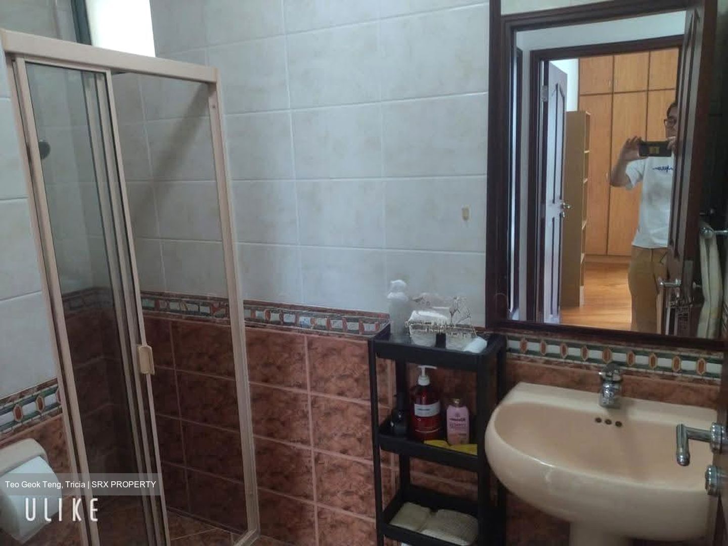 Tanglin Regency (D10), Condominium #607383791